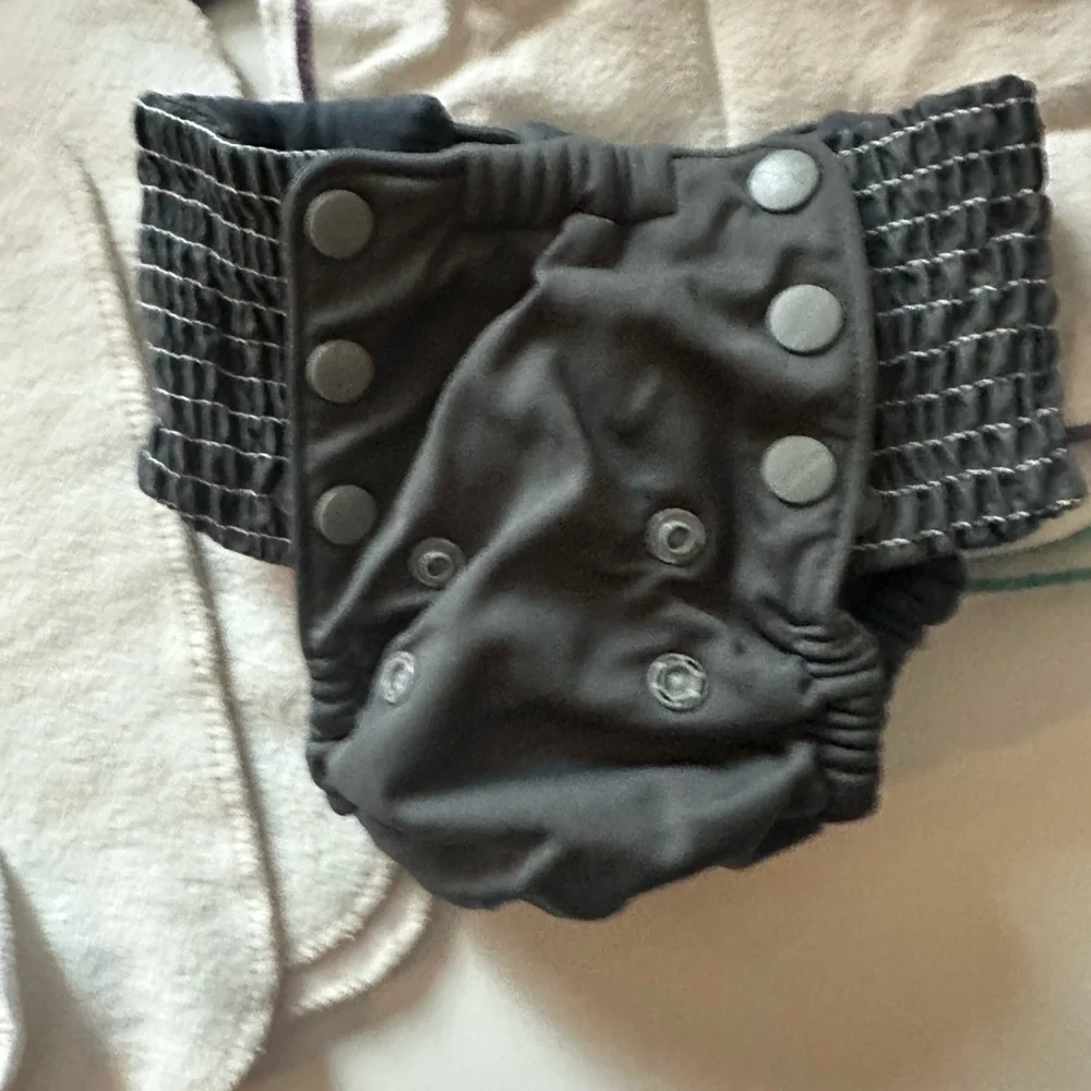 Full Set of Cloth Diapers (cover, inserts, boosters, wipes) - $600 value!!